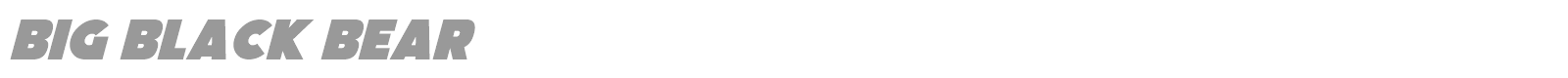 Big Black Bear font preview